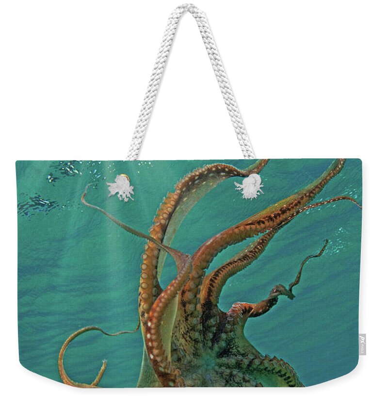 Maui Hawaii Octopus Ocean Weekender Tote Bag featuring the photograph The Kraken by James Roemmling