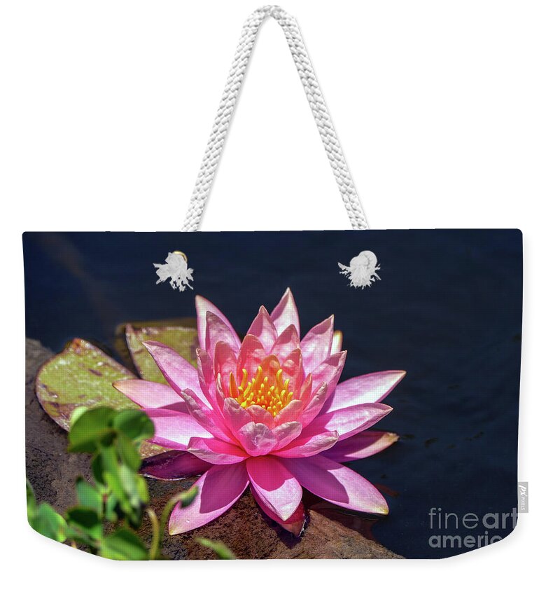 Flower Weekender Tote Bag featuring the photograph The lady is pink 02 by Arik Baltinester
