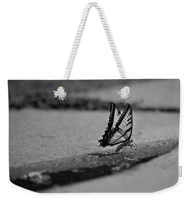 Images In Black And White-#thought Provoking- Butterflies-swallowtail- Images Of #rae Ann M. Garrett Weekender Tote Bag featuring the photograph The Long Journey by Rae Ann M Garrett
