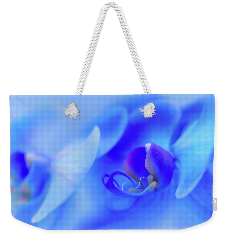Orchidaceae Weekender Tote Bag featuring the photograph The Scent Of Blue Mystique by Iryna Goodall