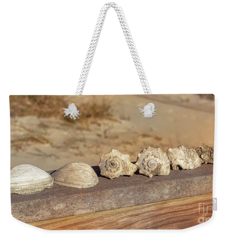 Beach Weekender Tote Bag featuring the photograph The Shell Collection by Kathy Baccari