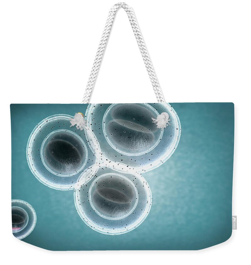 Antibiotic Resistant Weekender Tote Bag featuring the digital art The Structure Of Mrsa by Medicalrf.com