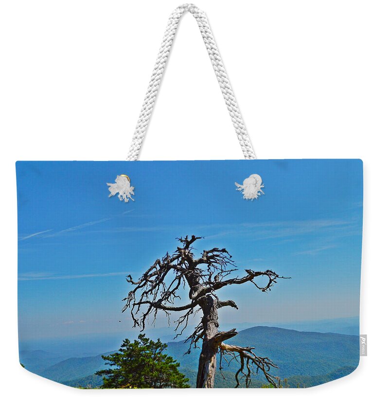 Dead Tree Weekender Tote Bag featuring the photograph The Survivor by Stacie Siemsen