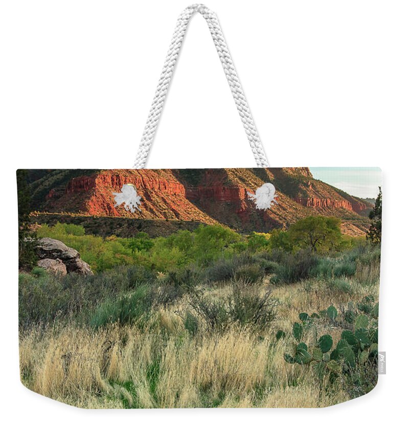 3scape Weekender Tote Bag featuring the photograph The Watchman by Adam Romanowicz