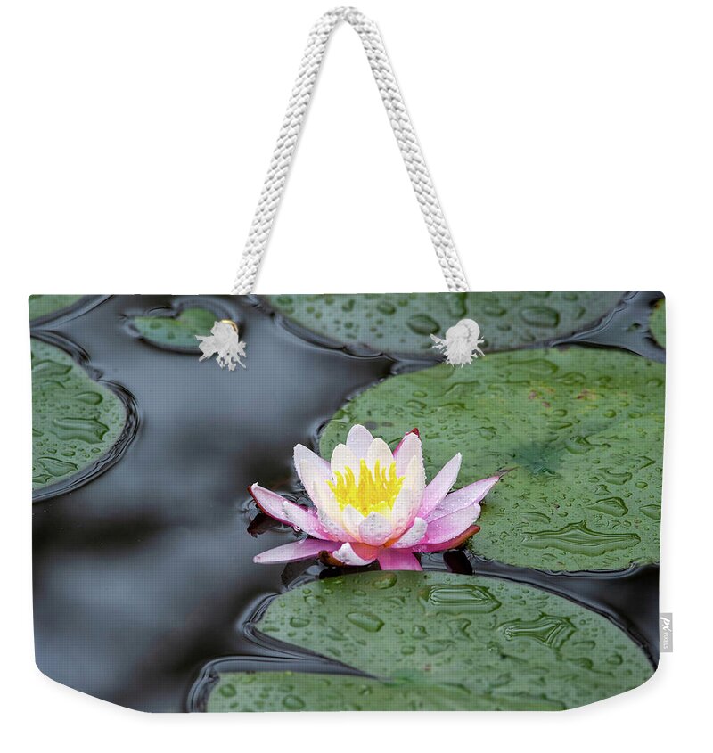 Oregon Coast Nature Weekender Tote Bag featuring the photograph The Water Lily by Lara Ellis