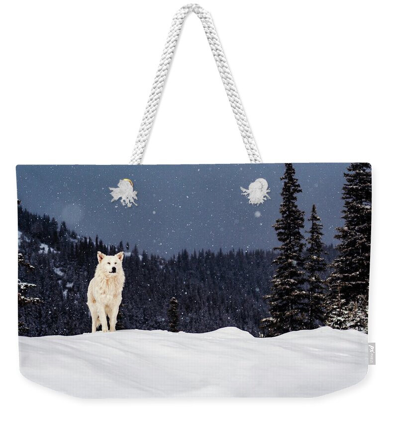 Animals Weekender Tote Bag featuring the photograph The Wolf by Evgeni Dinev