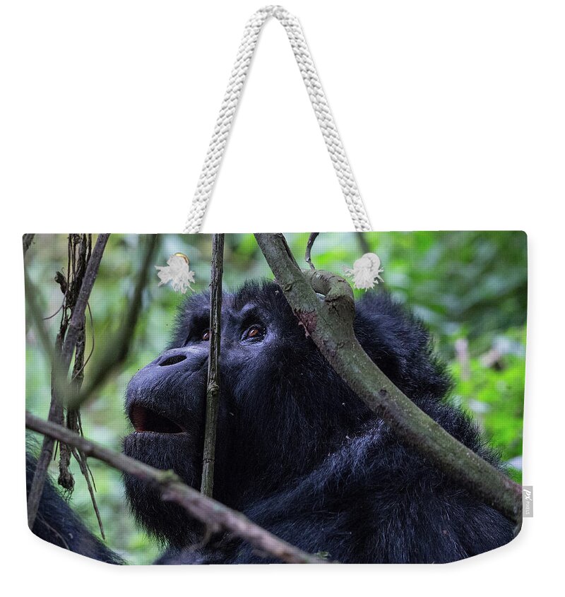 Uganda Weekender Tote Bag featuring the photograph The Wonder by Peter Kennett