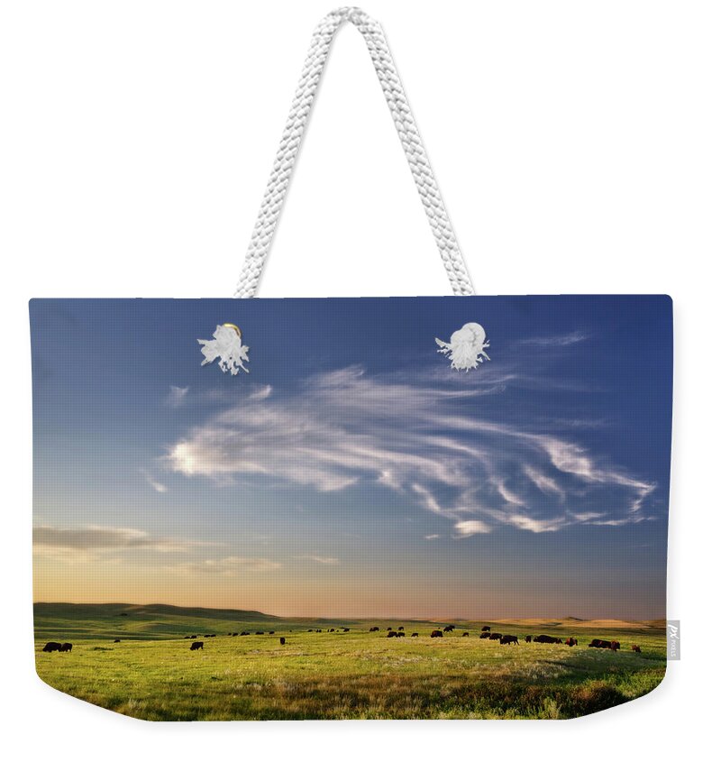 Theodore Roosevelt National Park Weekender Tote Bag featuring the photograph Theodore Roosevelt NP North Unit - Bison with beautiful clouds by Peter Herman