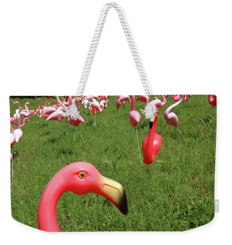 Tropical Tree Weekender Tote Bag featuring the photograph There Goes The Neighborhood - Again by Dlewis33