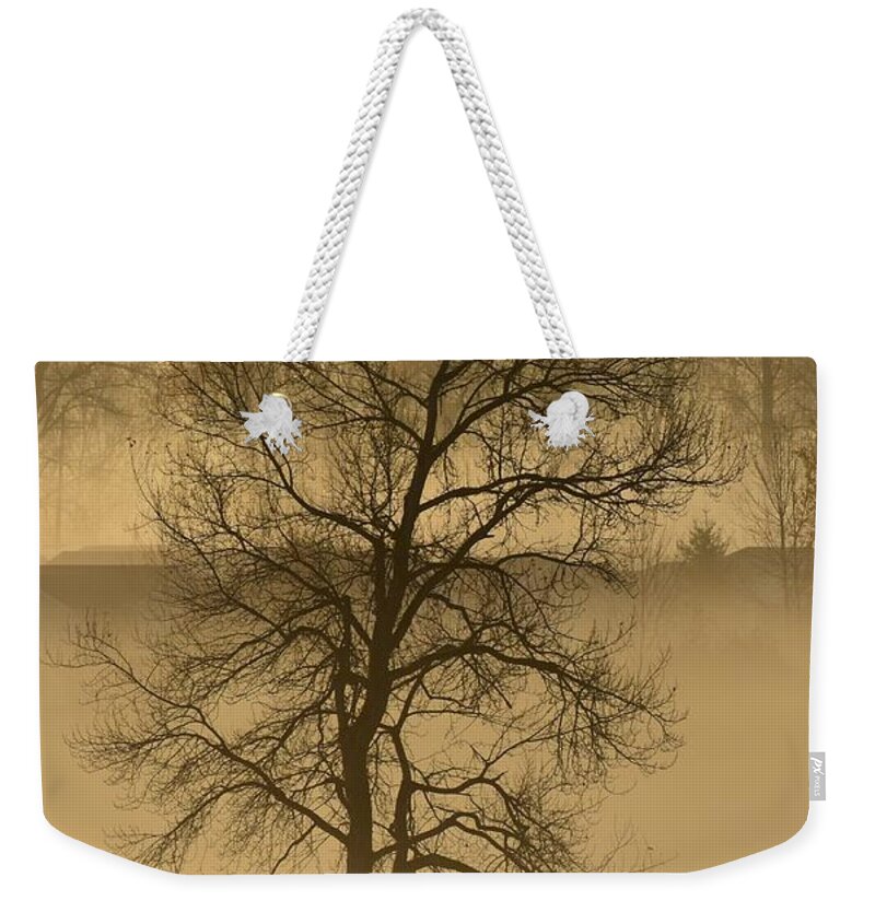 Trees Weekender Tote Bag featuring the photograph This Old Tree by Jimmy Chuck Smith