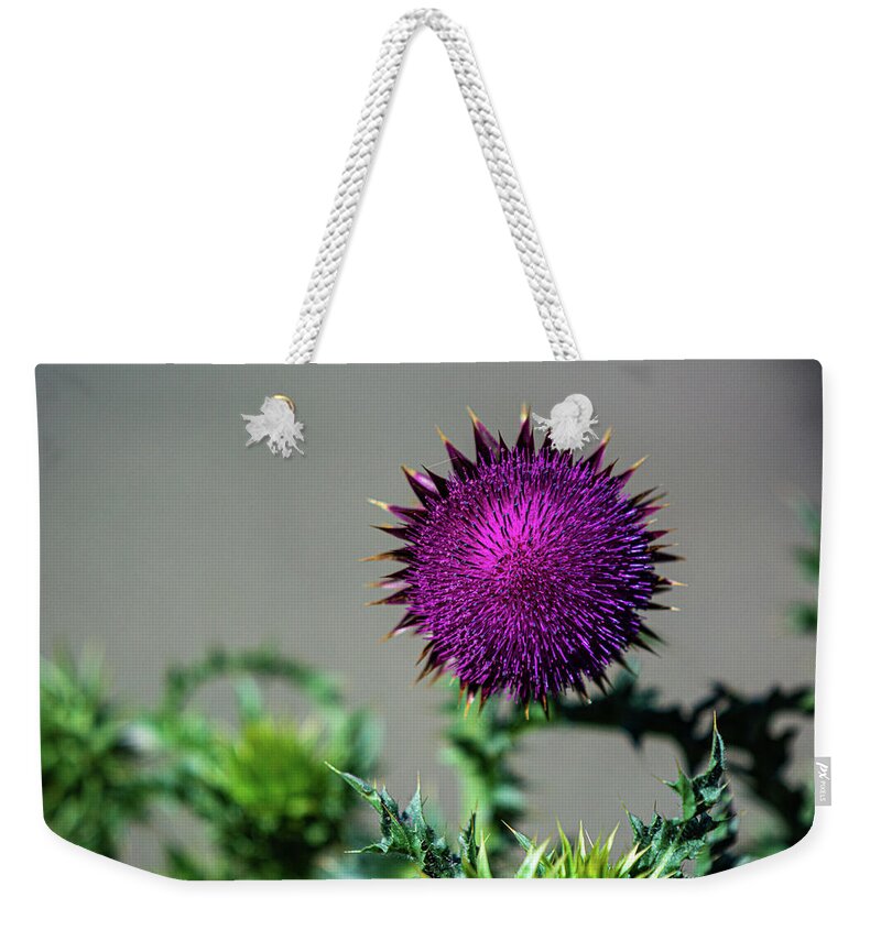 Canadian Thistle Weekender Tote Bag featuring the photograph Thistle Do Nicely by Douglas Wielfaert