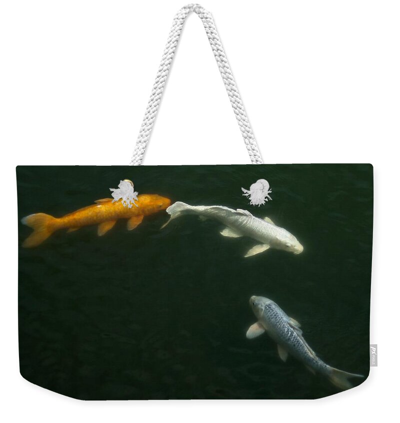 Pets Weekender Tote Bag featuring the photograph Three Carps In The Pond by Mamigibbs