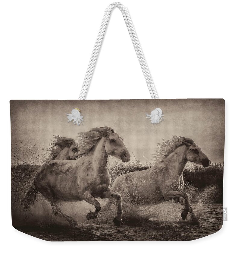 Horses. Equine Weekender Tote Bag featuring the photograph Three in the Marsh by Wade Aiken