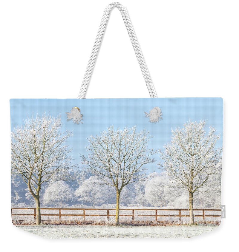 Landscape Weekender Tote Bag featuring the photograph Three winter trees and frozen fence by Simon Bratt