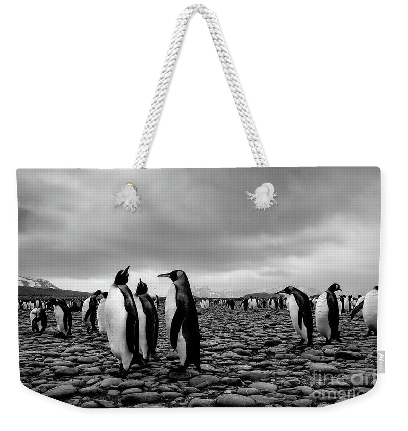 Salisbury Plain Weekender Tote Bag featuring the photograph Threesome by Patti Schulze