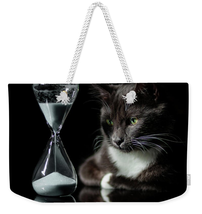 Cat Weekender Tote Bag featuring the photograph Time Keeper by Alexander Fedin