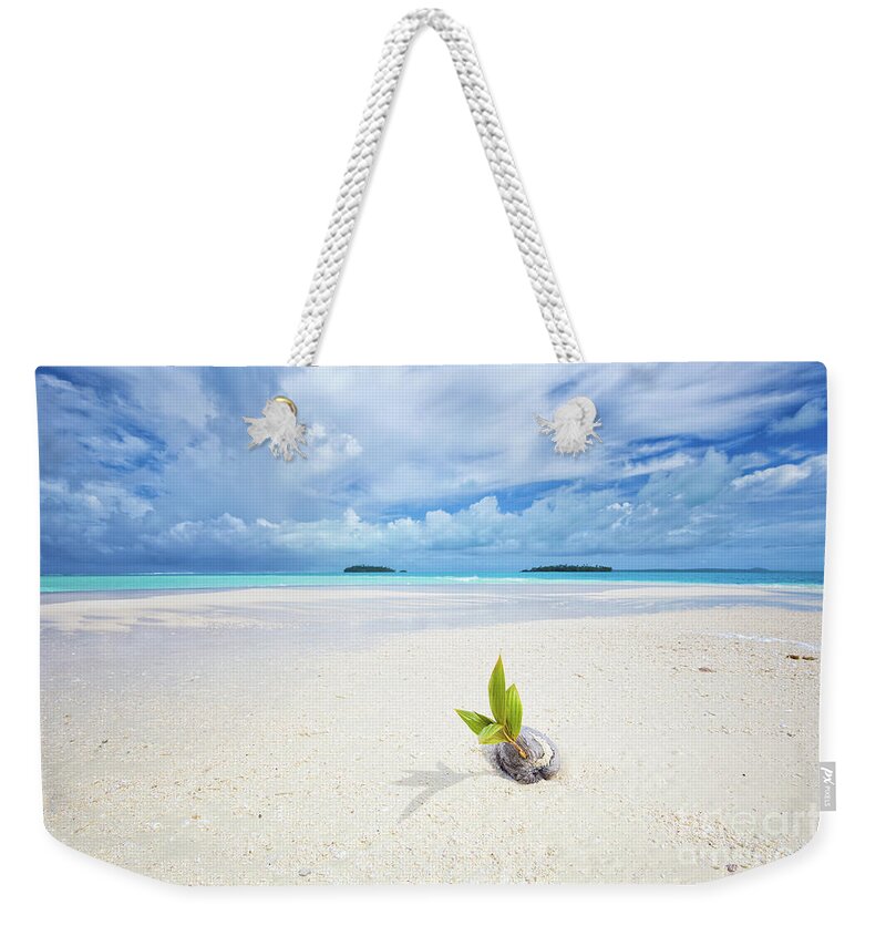 Coconut Weekender Tote Bag featuring the photograph To Be a Coconut by Becqi Sherman