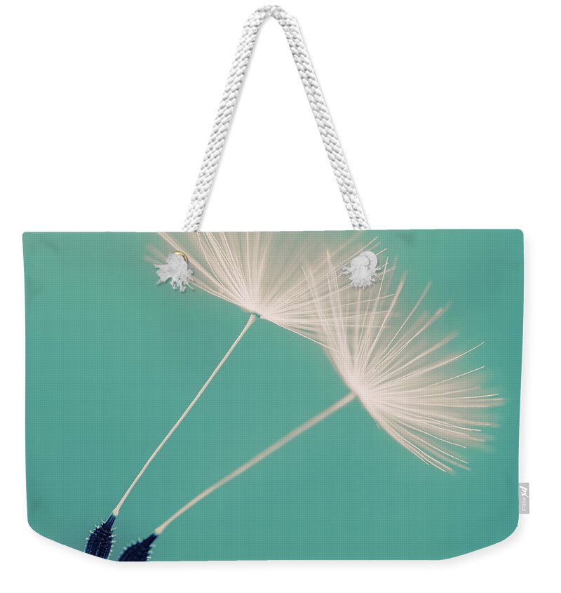 Fragility Weekender Tote Bag featuring the photograph Together by Matthias Haker Photography