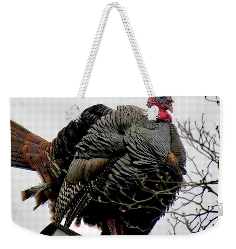 Turkey Weekender Tote Bag featuring the photograph Tom Turkey on Rooftop by Linda Stern