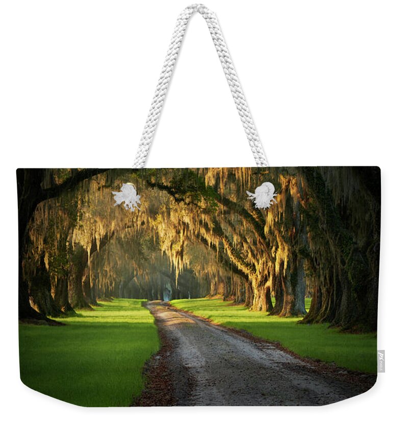 Plantation Weekender Tote Bag featuring the photograph Tomotley Plantation by Jon Glaser