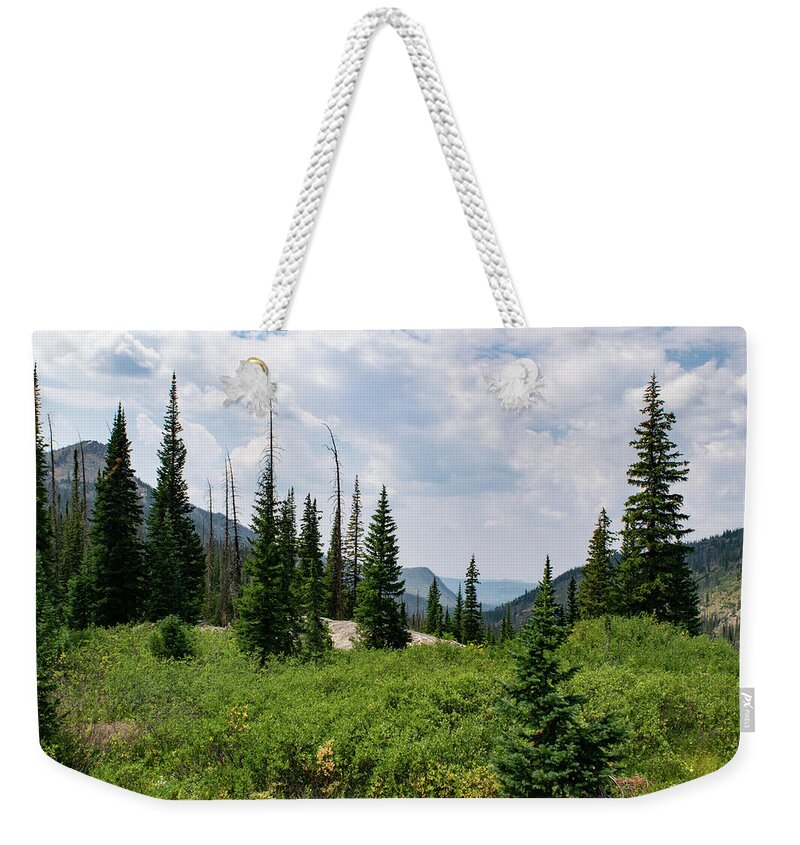 Mountain Weekender Tote Bag featuring the photograph Trail to Gilpin Lake by Nicole Lloyd
