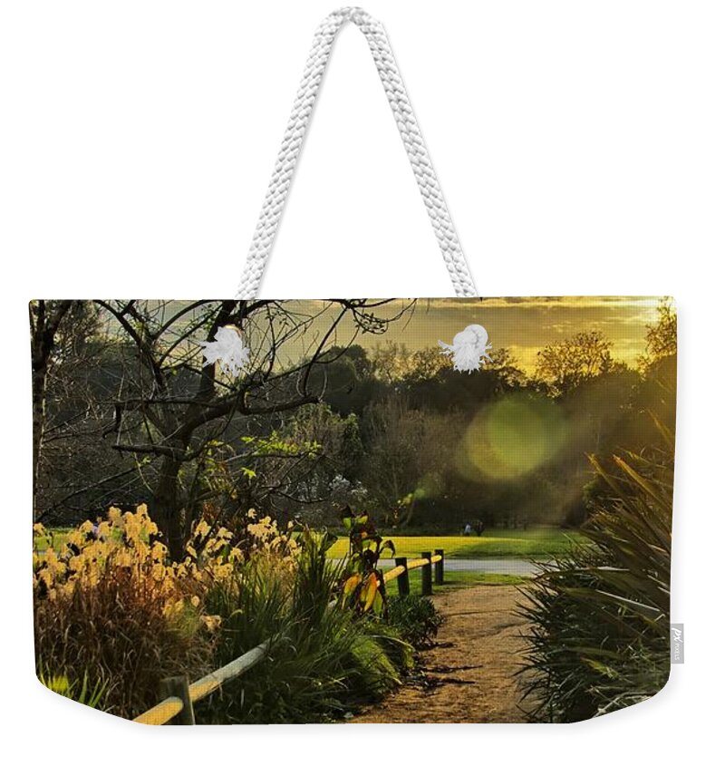Sunset Weekender Tote Bag featuring the photograph Trail to the Sunset by Alex Morales