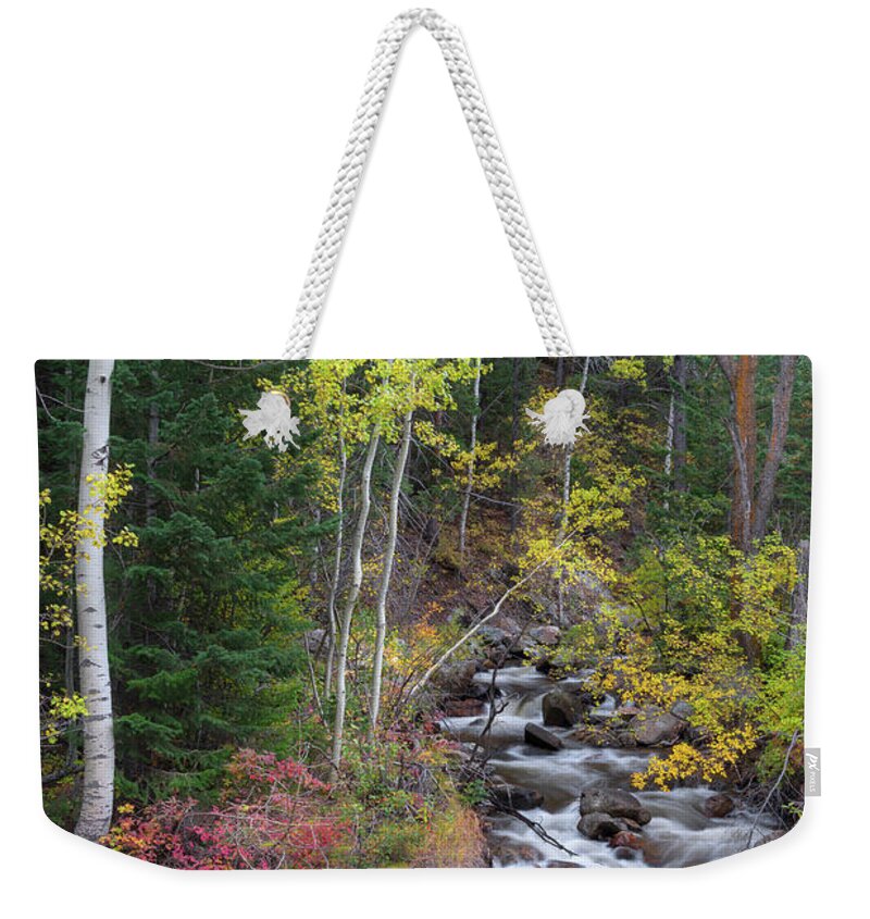 Left Hand Creek Weekender Tote Bag featuring the photograph Tranquility on the Stream by James BO Insogna