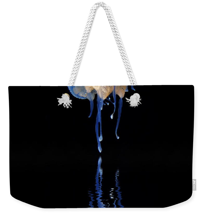  Weekender Tote Bag featuring the photograph Transcending by Tony HUTSON