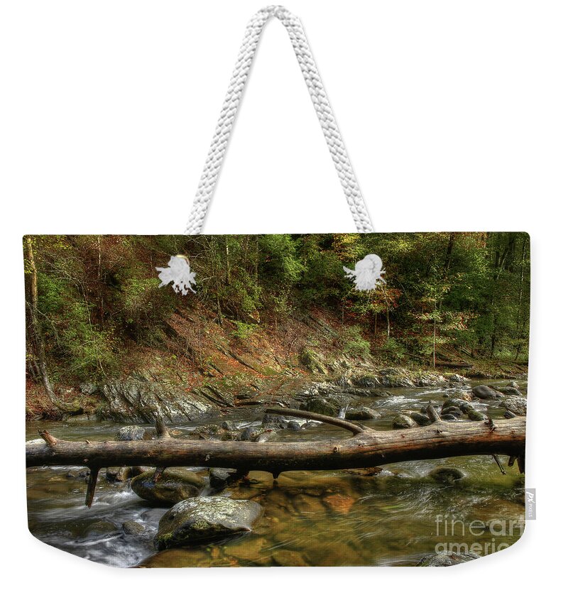 Tree Weekender Tote Bag featuring the photograph Tree Across The River by Mike Eingle