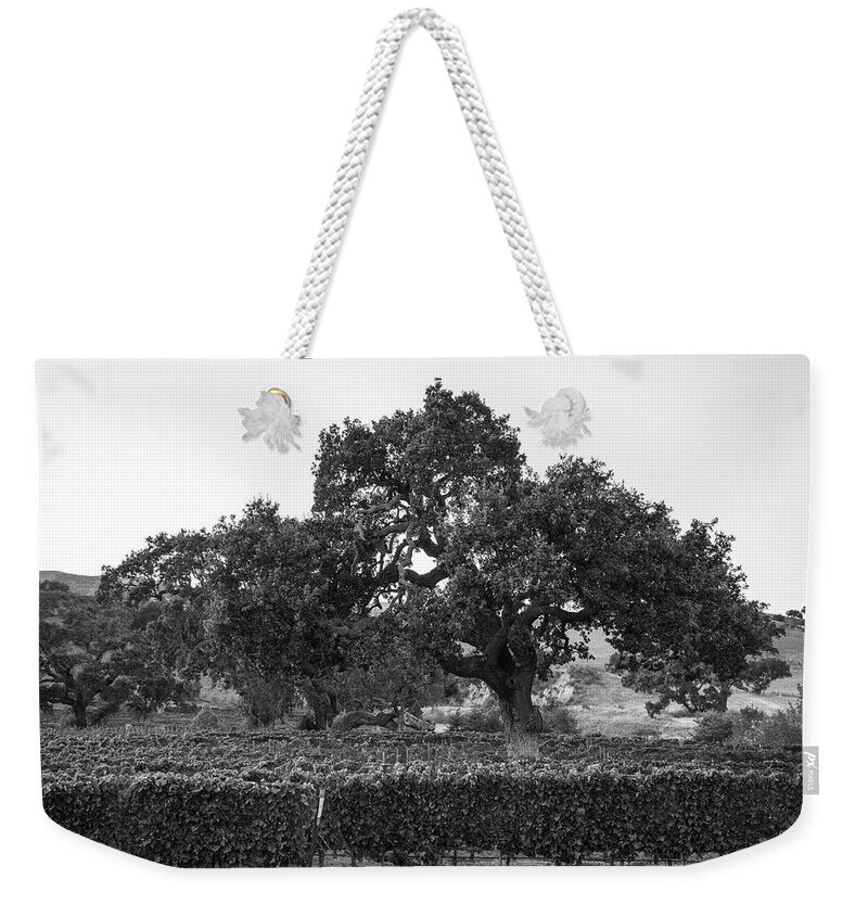 B&w Weekender Tote Bag featuring the photograph Tree and Vineyard California by John McGraw