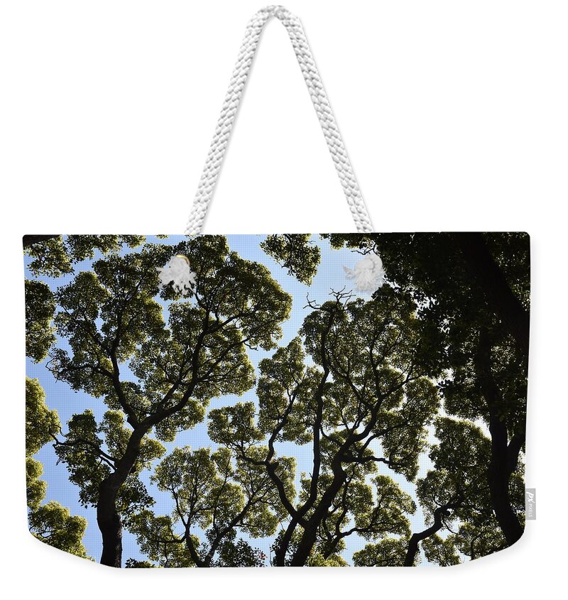 Trees Weekender Tote Bag featuring the photograph Tree Canopy by Ben Foster