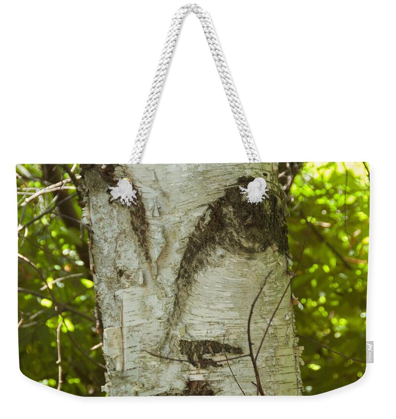 Tree Weekender Tote Bag featuring the photograph Tree Face by Marty Klar