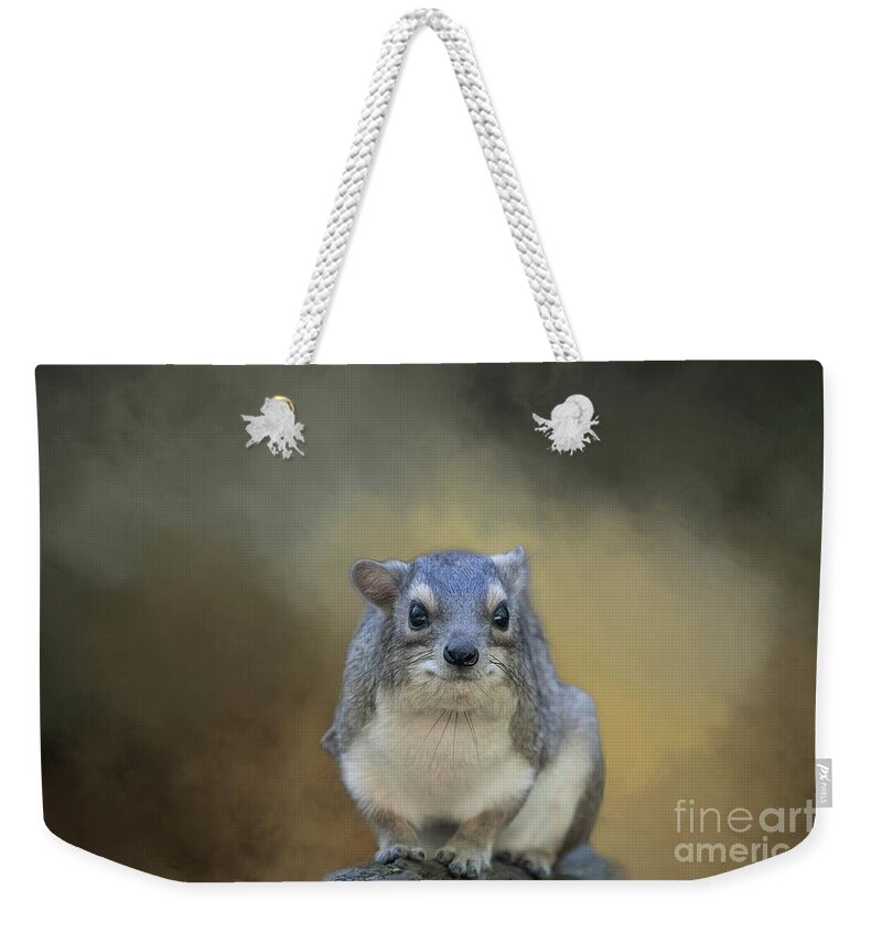 Tree Hyrax Weekender Tote Bag featuring the photograph Tree Hyrax by Eva Lechner