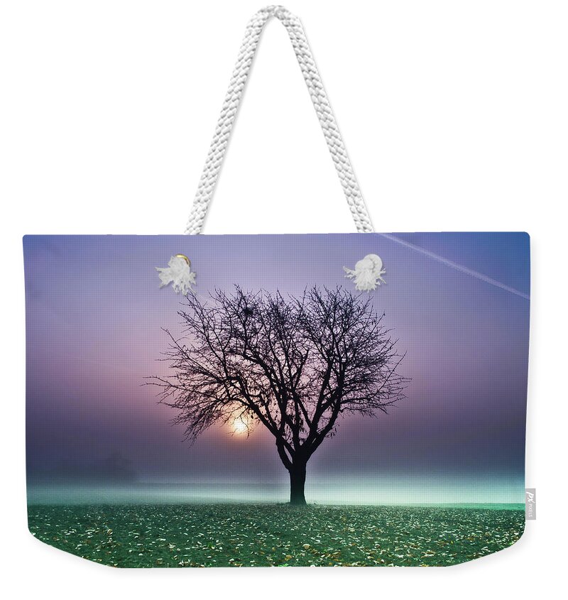 Tranquility Weekender Tote Bag featuring the photograph Tree In Field by Ulrich Mueller