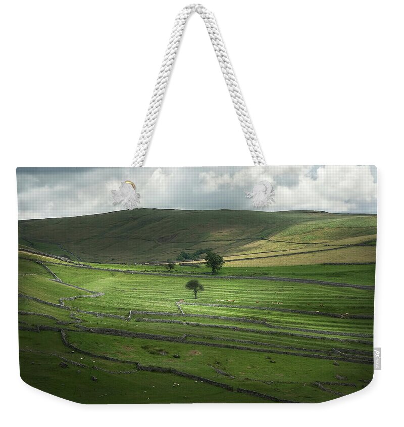 Grass Weekender Tote Bag featuring the photograph Tree In Spot Of Sun by Gmsphotography