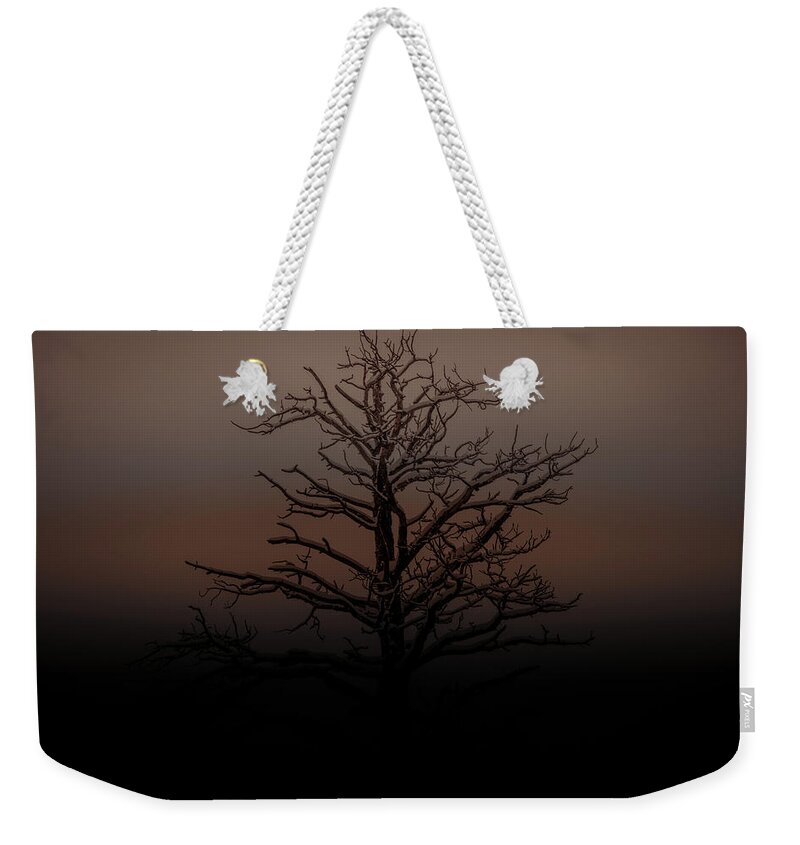  Weekender Tote Bag featuring the photograph Tree Silhouette by Dheeraj Mutha