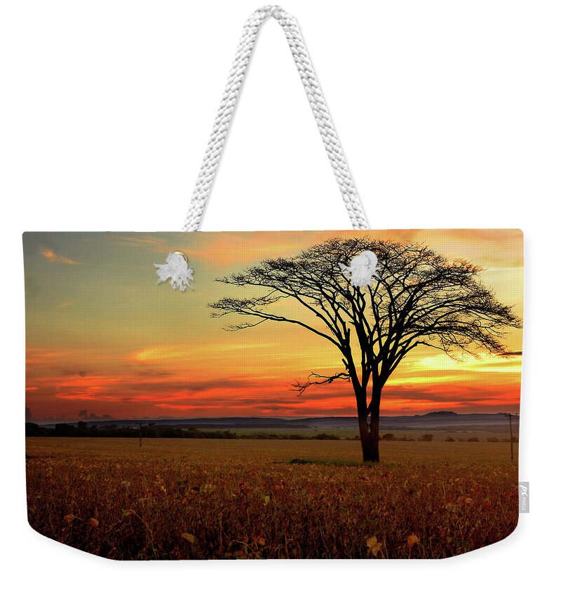 Scenics Weekender Tote Bag featuring the photograph Tree Silhouette by E.hanazaki Photography