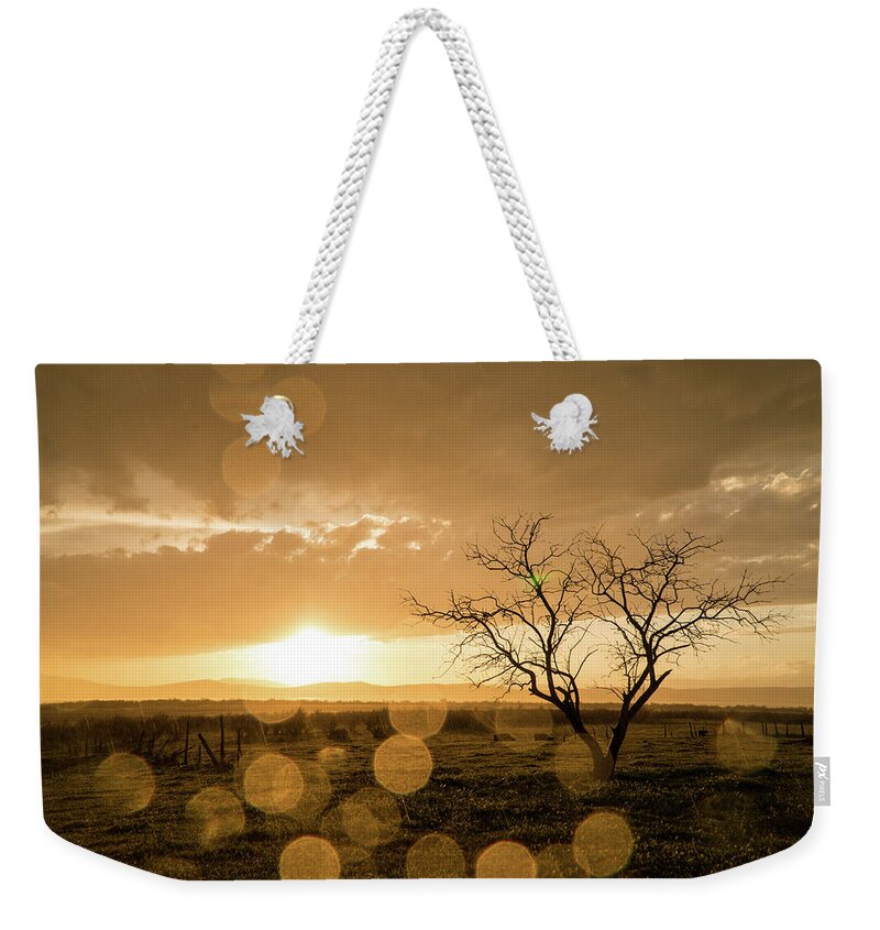 Sunset Weekender Tote Bag featuring the photograph Tree Sunset by Wesley Aston