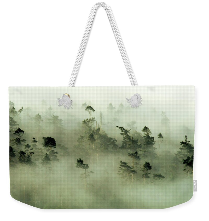 Fog Weekender Tote Bag featuring the photograph Trees peeking through the fog at sunrise by Leslie Struxness