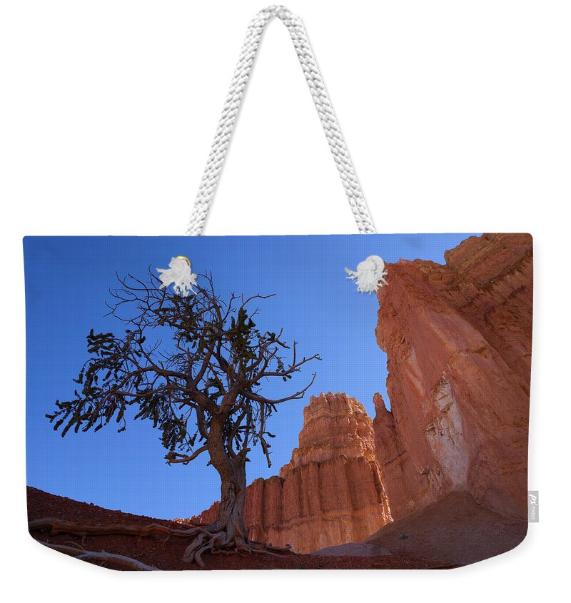 Desert Weekender Tote Bag featuring the photograph Tree Tower by Ivan Franklin