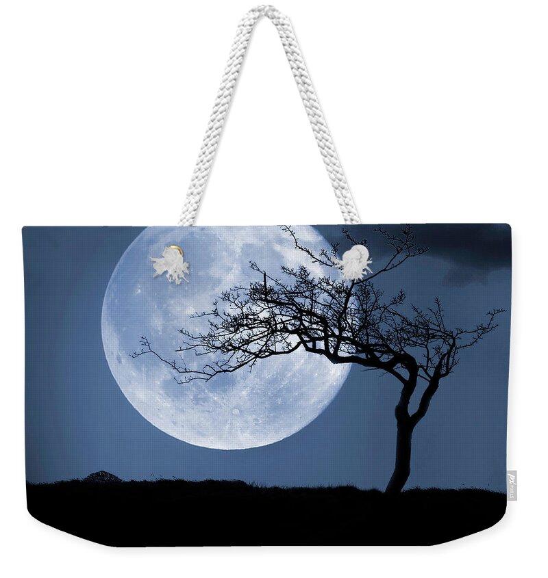 Scenics Weekender Tote Bag featuring the photograph Treelight by Victor Walsh Photography