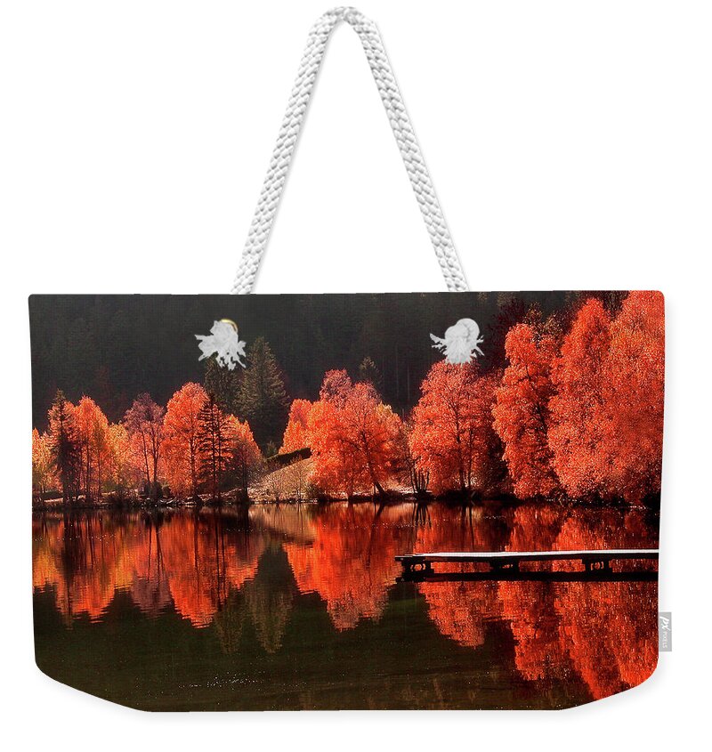 Autumn Weekender Tote Bag featuring the photograph Trees Facing Trees by Philippe Sainte-Laudy