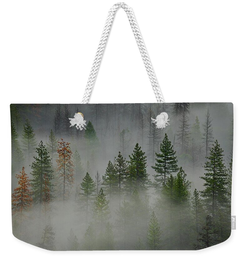 Forest Weekender Tote Bag featuring the photograph Trees in Yosemite by Jon Glaser