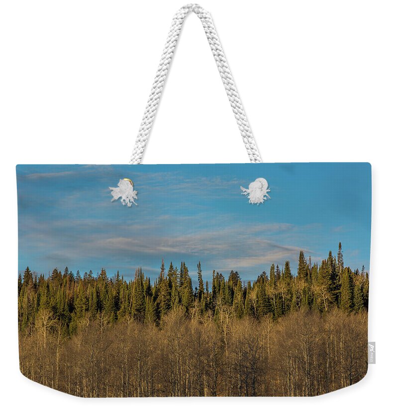 Trees Weekender Tote Bag featuring the photograph Treescape, Wyoming by Julieta Belmont