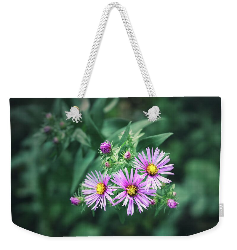 New England Aster Weekender Tote Bag featuring the photograph Trio of New England Aster Blooms by Scott Norris