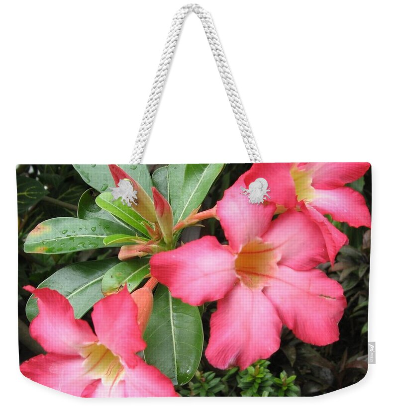 Flower Weekender Tote Bag featuring the photograph Trio by World Reflections By Sharon