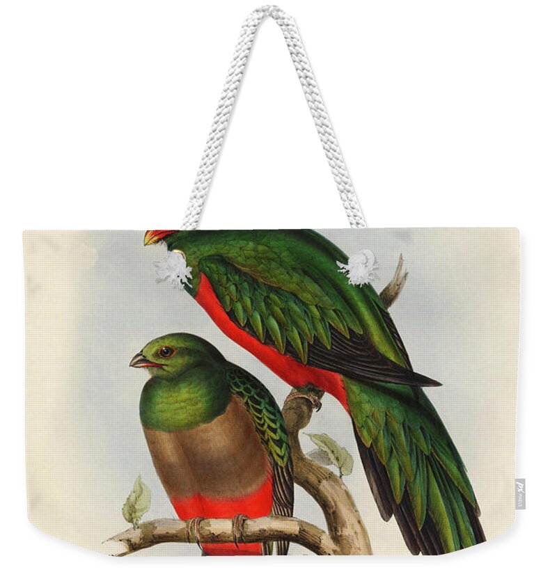 Aves Weekender Tote Bag featuring the painting Trogon Pavoninus - Peacock Trogron by John Gould