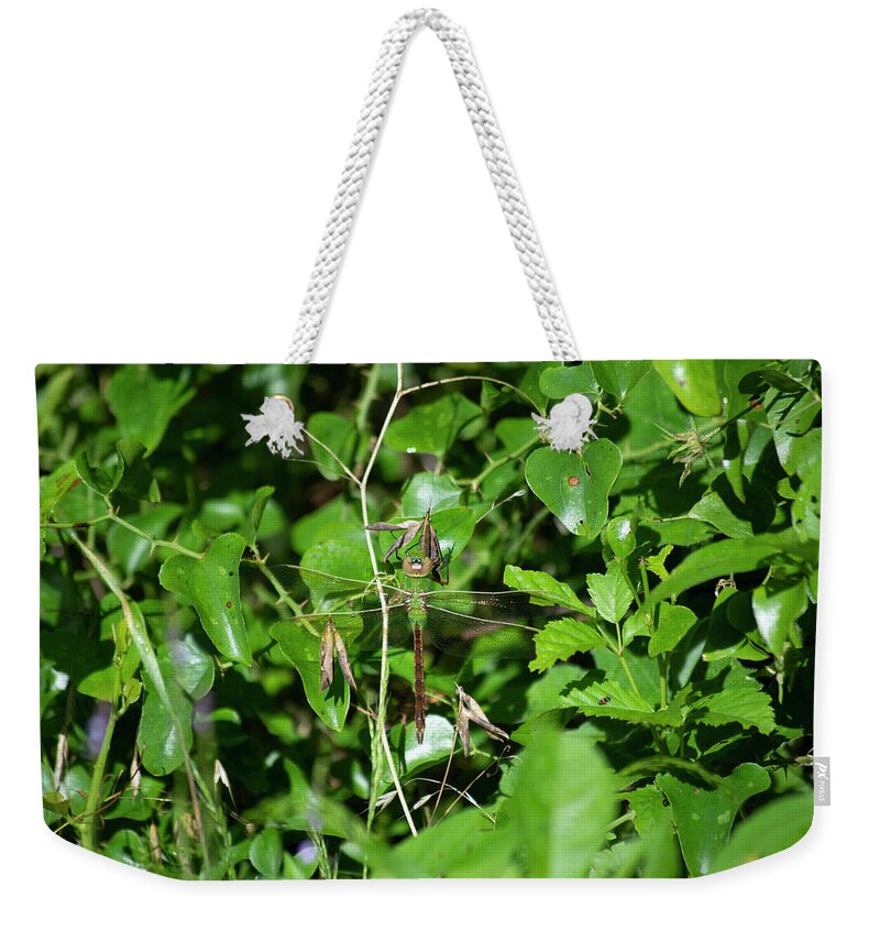 Dragonfly Weekender Tote Bag featuring the photograph Trying to Blend In by Patrick Nowotny