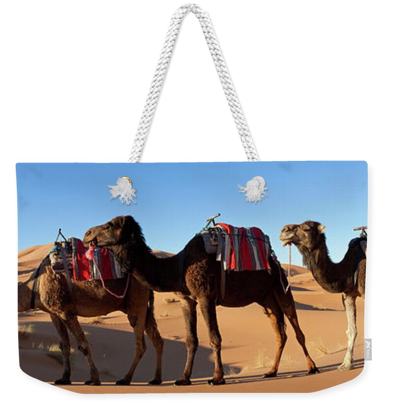 Working Animal Weekender Tote Bag featuring the photograph Tuareg Man & Camel, Sahara Desert by Peter Adams