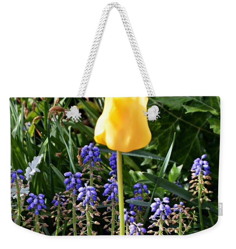 Flower Weekender Tote Bag featuring the photograph Tulip by Thomas Schroeder